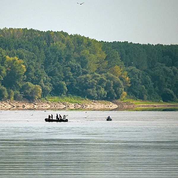 Record low Danube levels push some countries in Eastern Europe to the brink of energy emergency