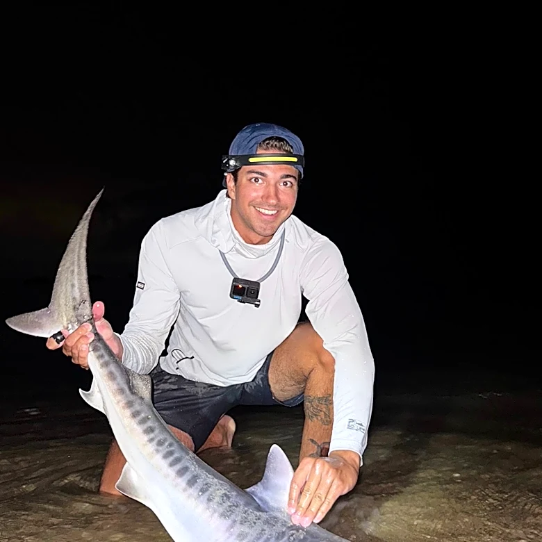 Tropical shark caught off Massachusetts could be sign of warming waters