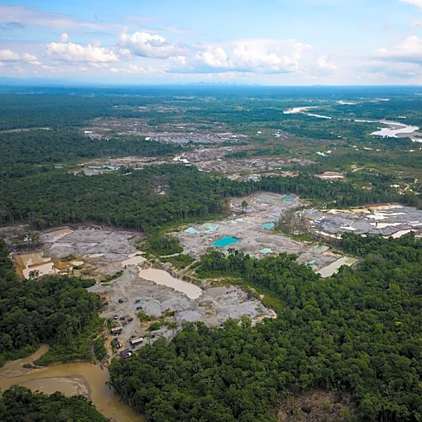 Five Amazon countries arrest hundreds in major crackdown on environmental crime
