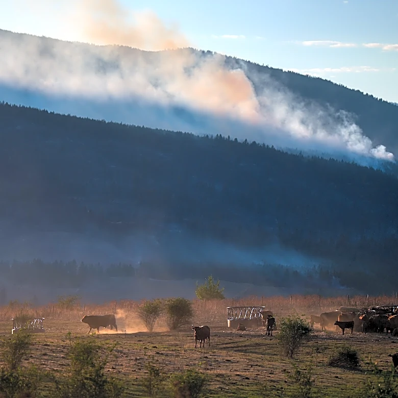 Wildfire destroys about 230 homes in western Canadian Indigenous community, officials say