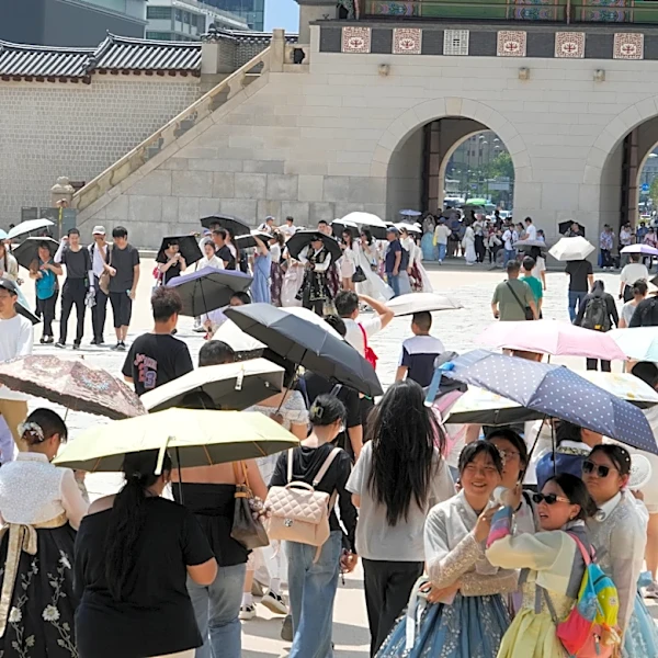 Record heat wave impacts people and animals in Japan and Korean Peninsula
