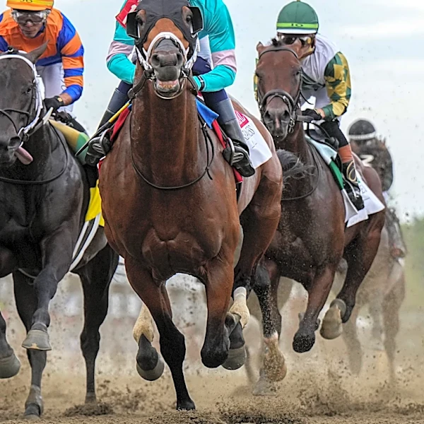 Preakness date for next year to be revealed, setting the 2027 Triple Crown schedule