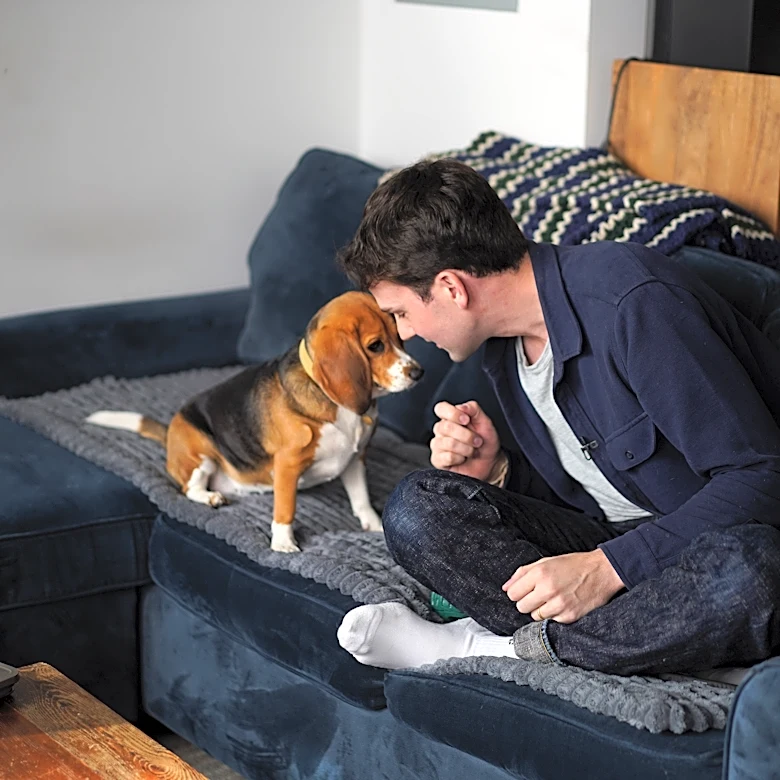 Gene-edited beagles may offer a future option for people with dog allergies
