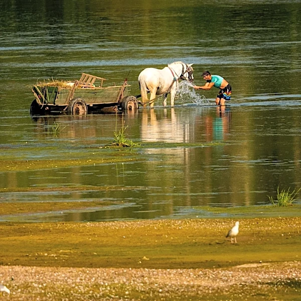 Central Europe swelters and Slovakia and Austria hit their record high temperatures