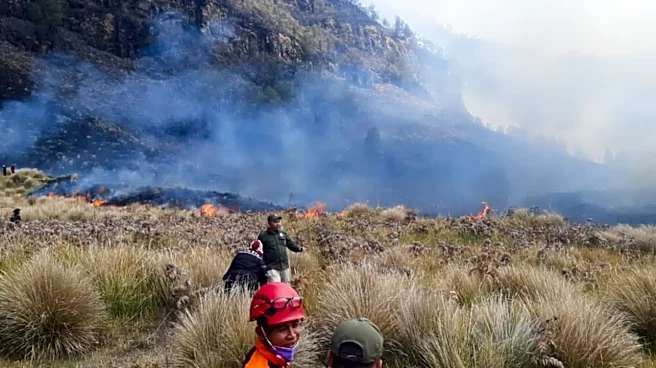 Fire burns 60 hectares in Indonesia’s Mount Bromo National Park
