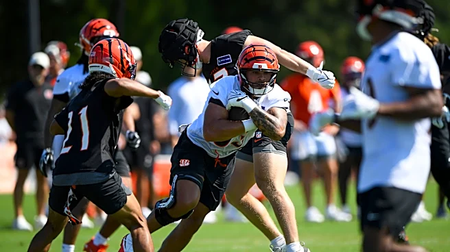 Erick All Jr. is back from a knee injury and shining in Bengals training camp