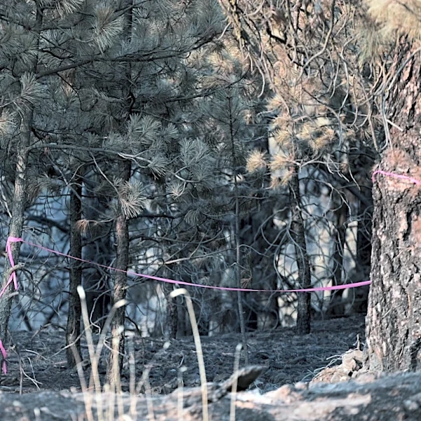 Man charged with arson in Spokane, Washington, told police he planned wildfire for weeks