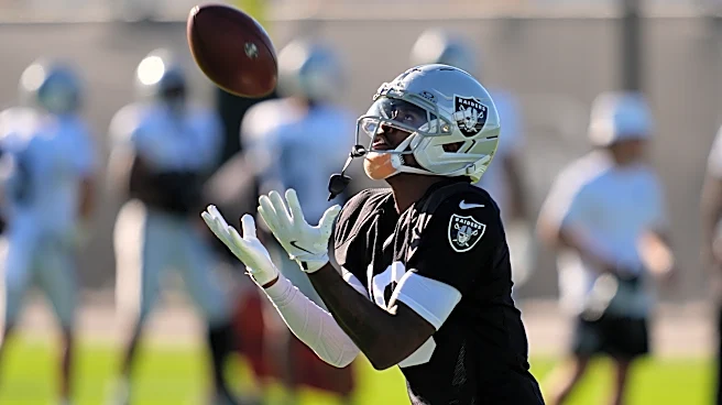 Fernando Mendoza isn't only Raiders rookie to watch in training camp