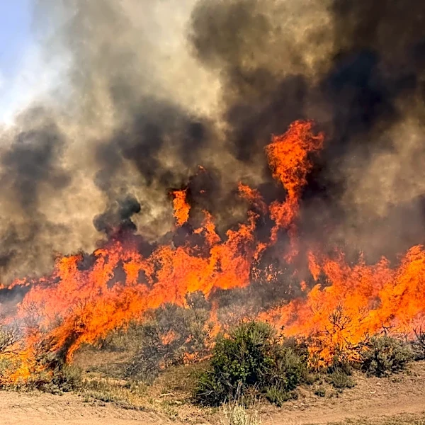 A helicopter battling a Utah wildfire crashes as a blaze kills dozer operator in Oregon