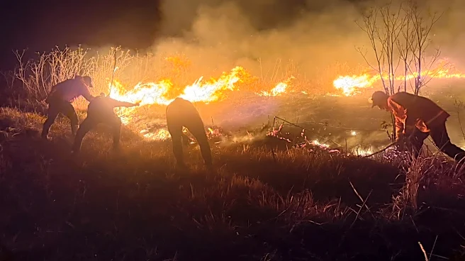 Indonesia battles growing wildfires as Mount Bromo blaze spreads