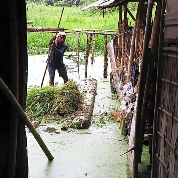 Flood death toll in India's Assam reaches 100 as thousands lose their homes