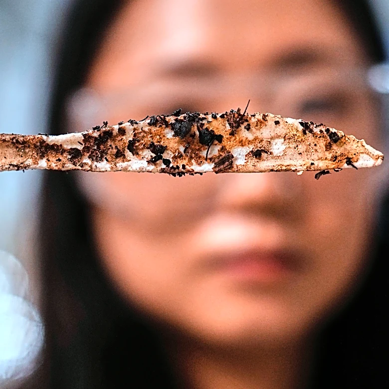Traditional plastic forks shed harmful microplastics. Plastic created from sugar is an alternative