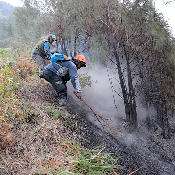 Wildfire at Indonesia's Mount Bromo mostly contained as smoke forces school closures