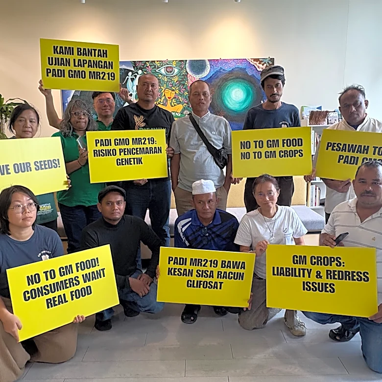 Malaysian farmers, environmental groups call for rejection of GMO rice trial