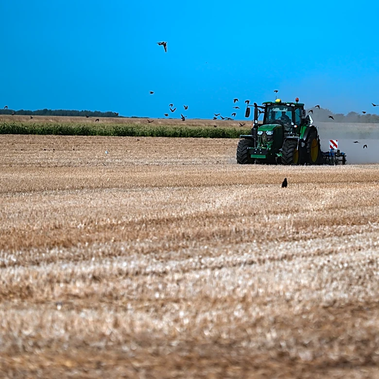 A punishing European drought shrivels crops from Dutch potatoes to Bosnian corn