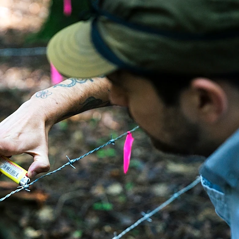 How many bears are there in CT? Here’s what it takes to find out.