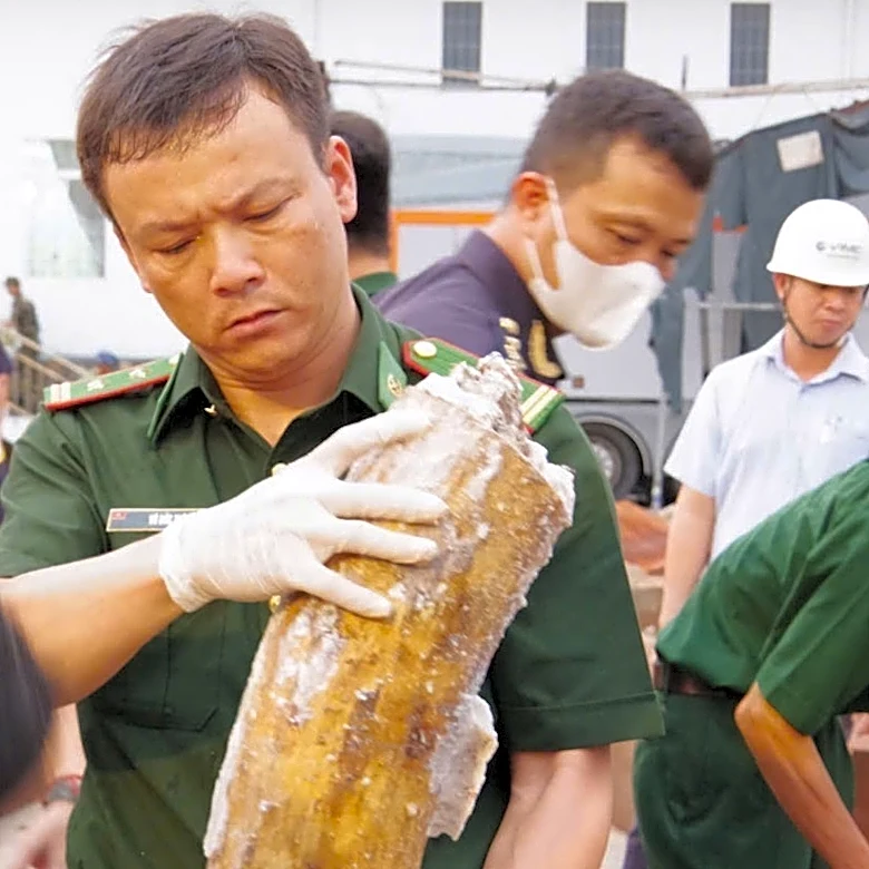 Authorities in Vietnam discover more than a ton of concealed ivory illegally shipped from Africa