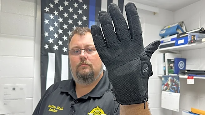 White House border czar defends ICE electric shock gloves as tools to avoid deadly force