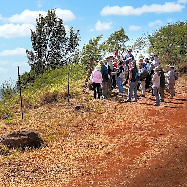 In A Hidden Hawaiʻi Gulch, A Wartime Secret Opens To The Public