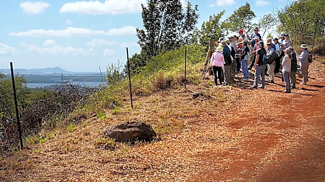 In A Hidden Hawaiʻi Gulch, A Wartime Secret Opens To The Public