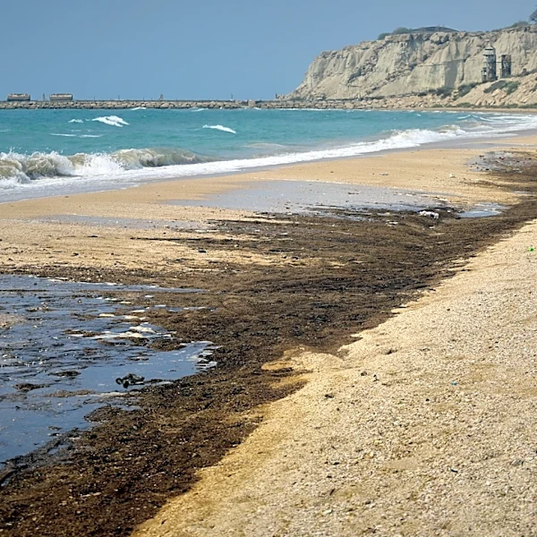 Ship attacked during Strait of Hormuz transit and other news from the Middle East