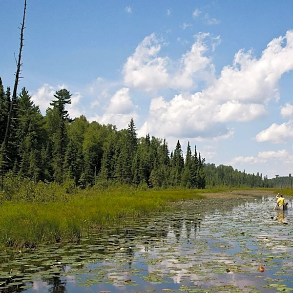 Minnesota governor signs order to slow down any mining efforts in Boundary Waters wilderness