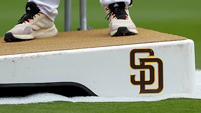 Former Venezuelan player working for San Diego Padres is detained by ICE