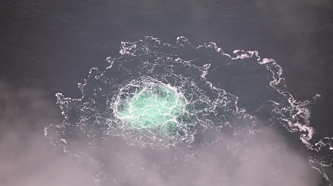 Ukrainian man arrested over undersea explosions that damaged gas pipelines in 2022