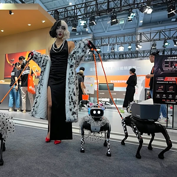 From robot dogs to helpers, China puts robotics ambitions on display at world conference