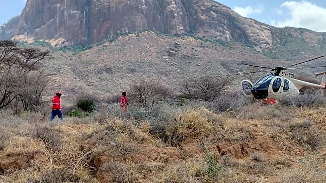 Helicopter crashes in a remote area of northern Kenya