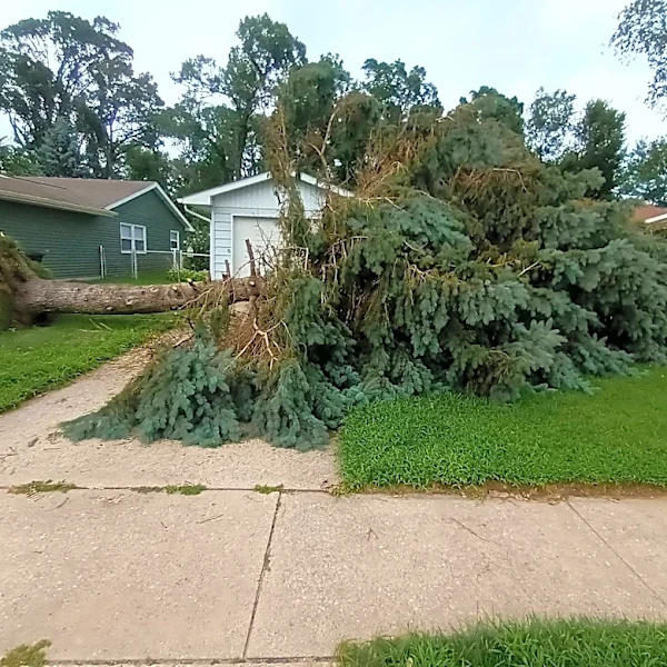 Tens of thousands in Indiana are still without power a week after deadly storms