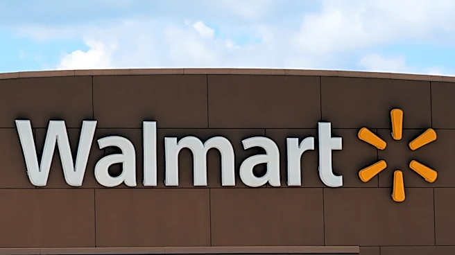 Walmart strong again in second quarter, but its outlook is reserved