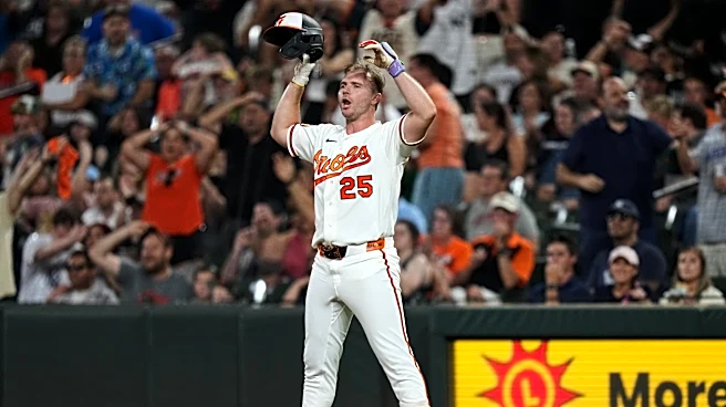 Does baseball need even more technology for plays like Pete Alonso's disputed fly ball?