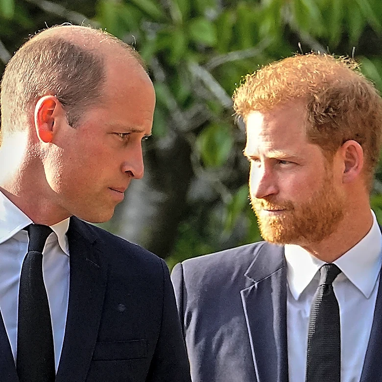A question looms over Harry's return to the UK. Can he rebuild his relationship with Prince William?