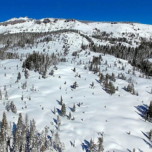 Backcountry guide company faces $150K in fines after California’s deadliest modern avalanche