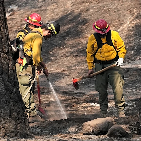 Officials warn wildland firefighters about the risks of using a supplement for smoke exposure