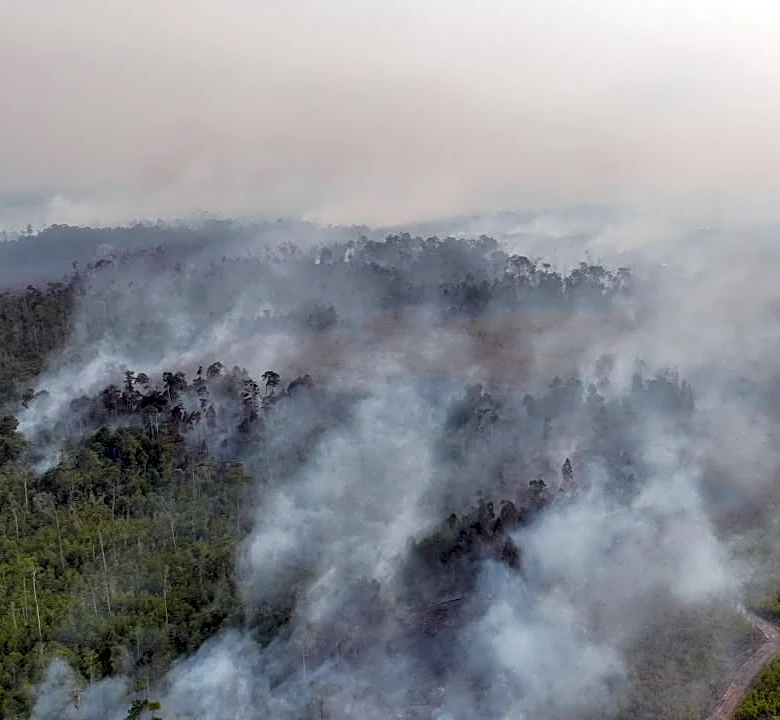 Indonesian police arrest 72 people suspected of starting forest fires