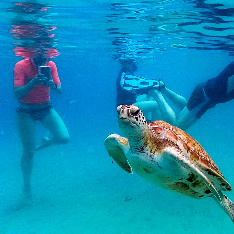 Earth is simmering in its hottest water temps on record, and that's bad for fish and us