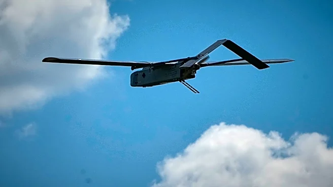 UN and Red Cross step up call for international rules on 'killer robot' weapons systems