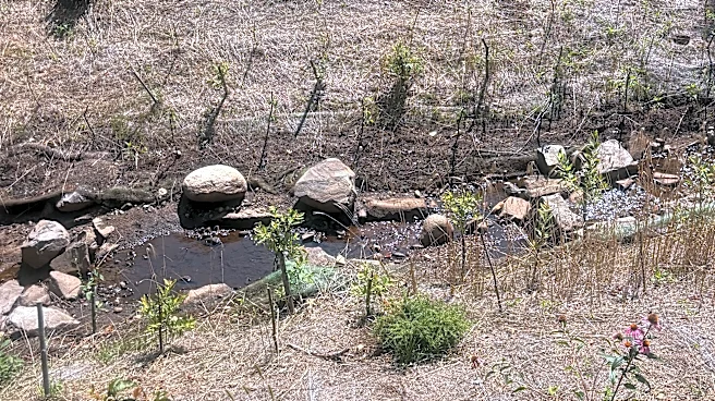 Living shorelines in Maine show mixed success
