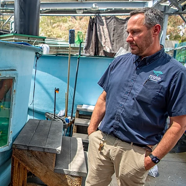 How the Aquarium of the Pacific scrambled to save hundreds of sea creatures after 2 smuggling busts