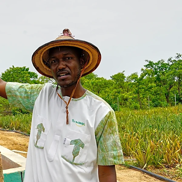 Can pineapples thrive in Africa's Sahel? A Burkina Faso farmer says the answer is yes