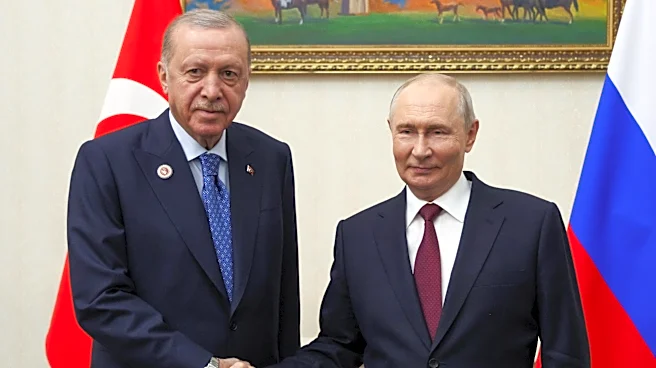 Turkey's Erdogan signals further nuclear projects with Russia