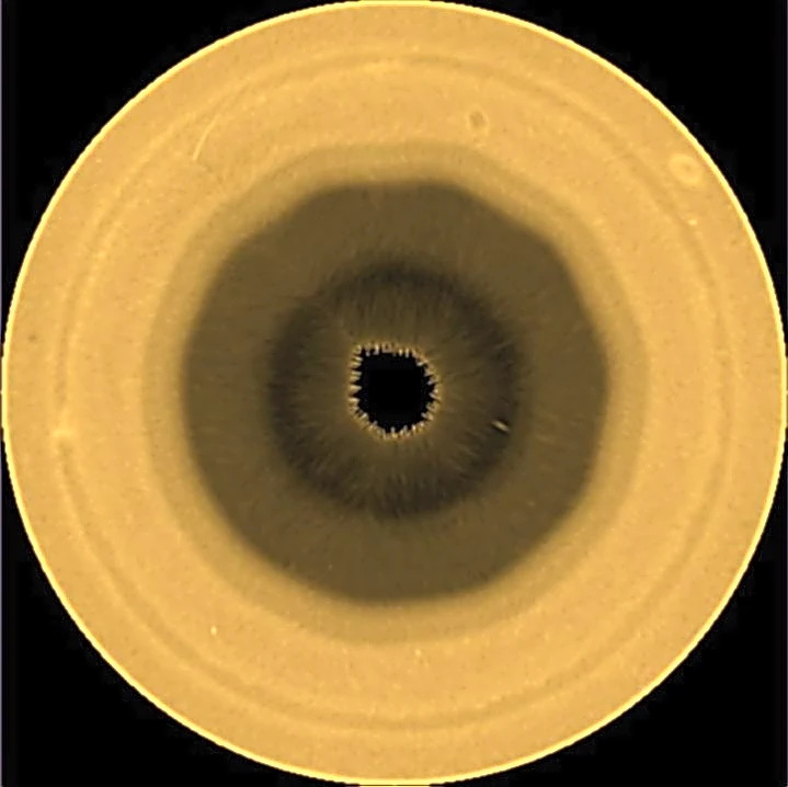 Scientists find a huge 10-sided wave pattern swirling in the clouds over Saturn's south pole