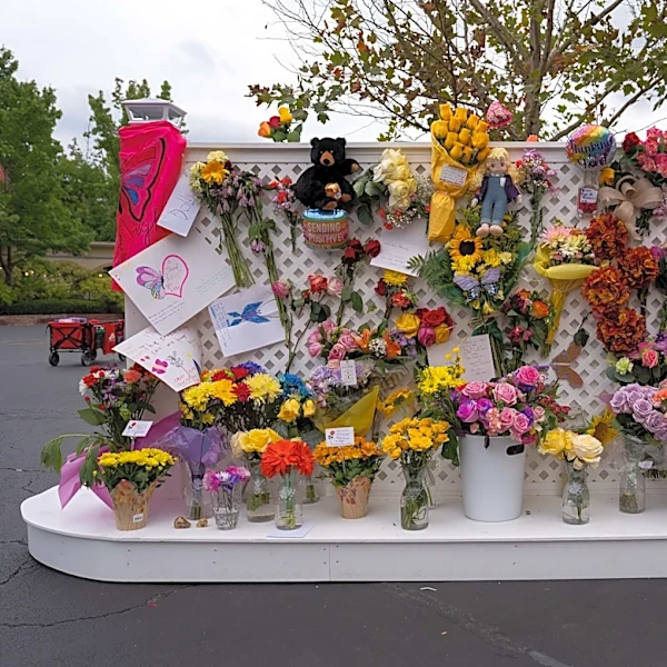 Dollywood theme park will add new features, including a waterfall, to honor Dolly Parton