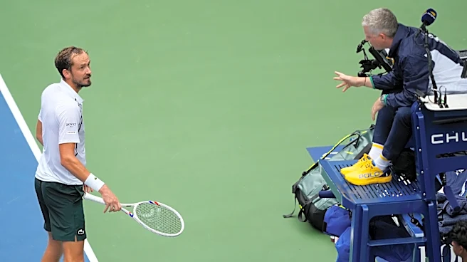 For the birds: Medvedev protests US Open umpire's call to replay a point after birds sit on the net