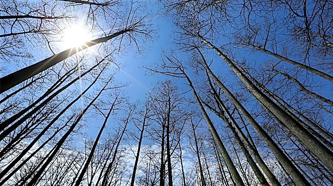 US Forest Service closing 23 research facilities as part of reorganization under Trump