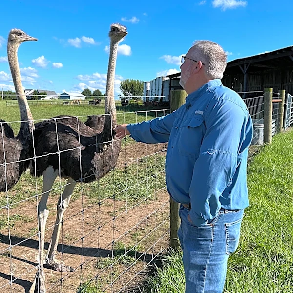 A Kentucky man with a meat allergy was craving a burger. So he got into ostrich farming