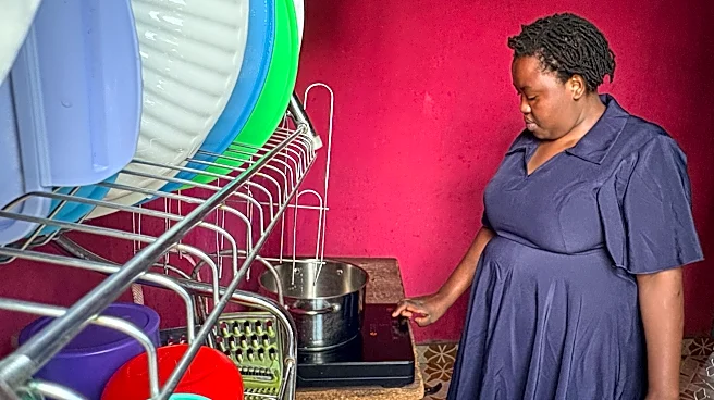 Carbon credit financing emerges as Africa’s biggest bet for expanding clean cooking