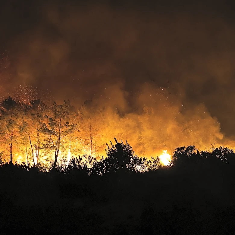 A wind-fueled wildfire forces hundreds from homes in Turkey as firefighters battle flames